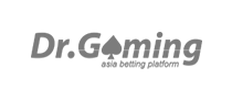 drgaming logo